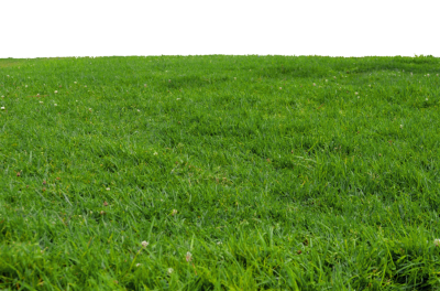 Picture Park Grass PNG Images