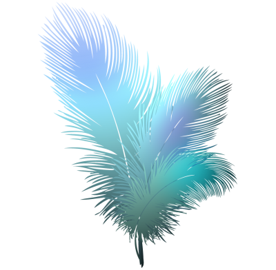 Download PEACOCK FEATHER Free PNG transparent image and clipart