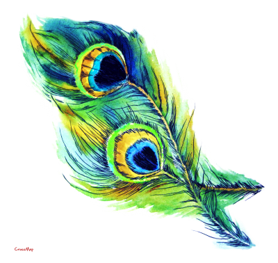 Download PEACOCK FEATHER Free PNG transparent image and clipart