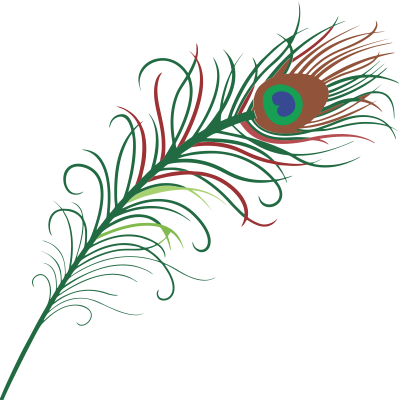 Download PEACOCK FEATHER Free PNG transparent image and clipart