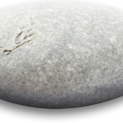Pebble Stone Transparent Image PNG Images