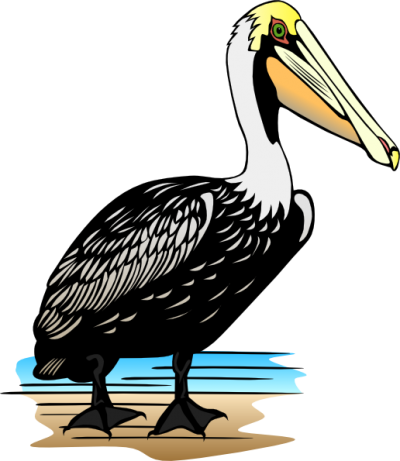 Pelican Clip Art At Pic PNG Images