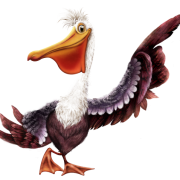 Pelican Transparent Pictures PNG Images