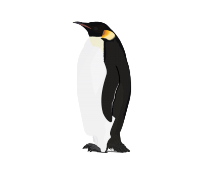 Penguin Cut Out PNG Images