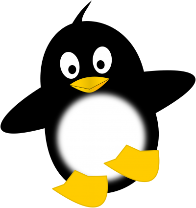 Penguin Photos PNG Images