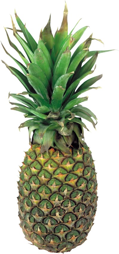 Green Pineapple Photo Background PNG Images