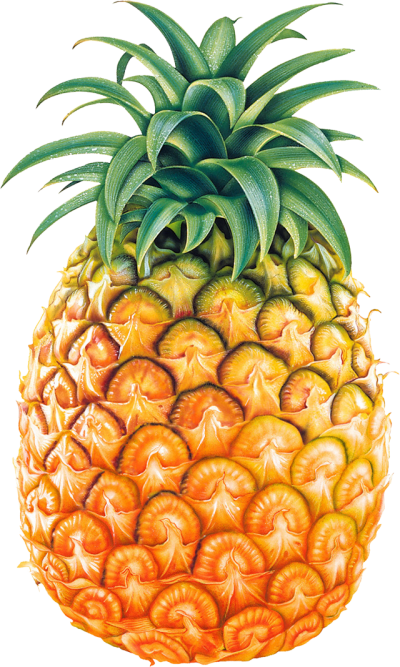 Pineapple Wallpaper Background Free Download PNG Images