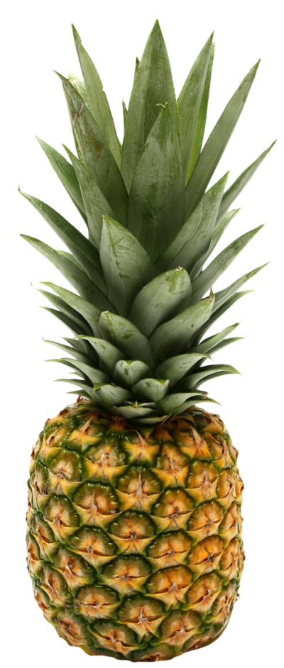 pineapple transparent