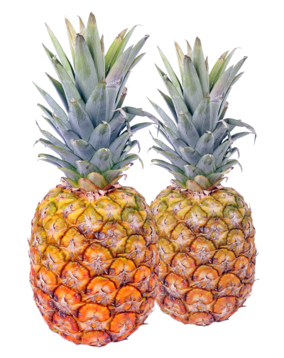 Two Pineapples Hd Download PNG Images