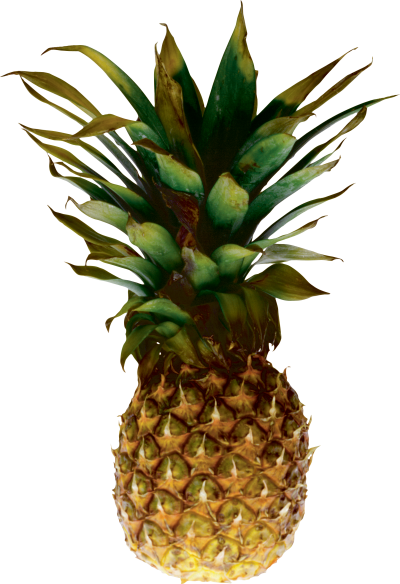 Small Round Pineapple Photo Hd Free, Tropical PNG Images