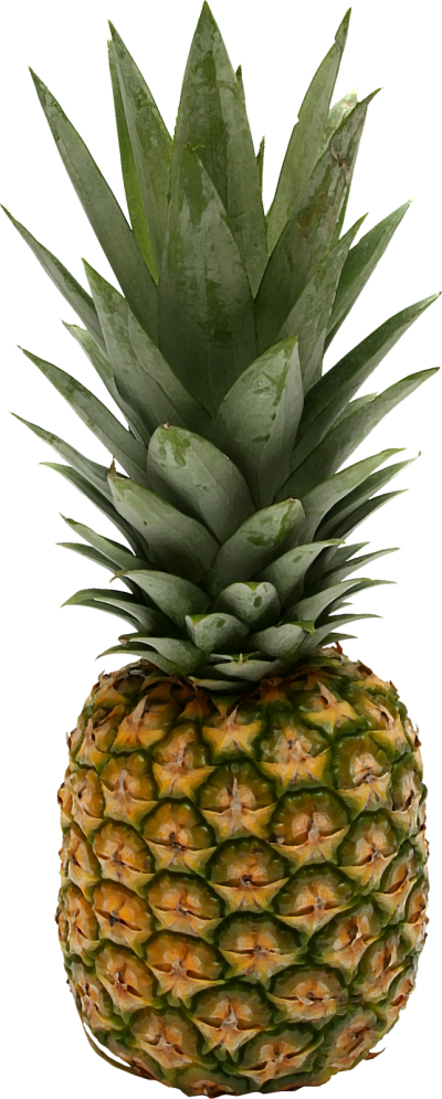 Bunch Of Leafy Fruit Pineapple Clipart Png Free PNG Images