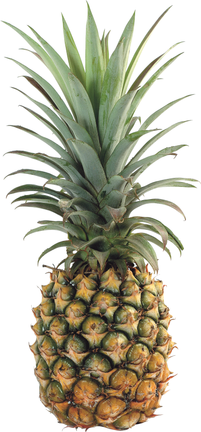 Natural Pineapple Png Hd Picture PNG Images
