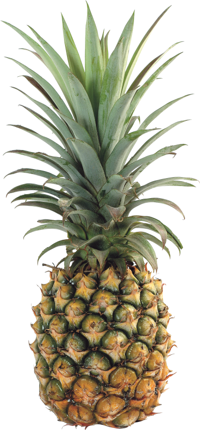 pineapple transparent