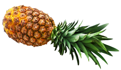 Horizontal Side View Pineapple Png Free Download PNG Images