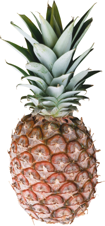 Tropical Fruit Pineapple Clipart Hd Background PNG Images