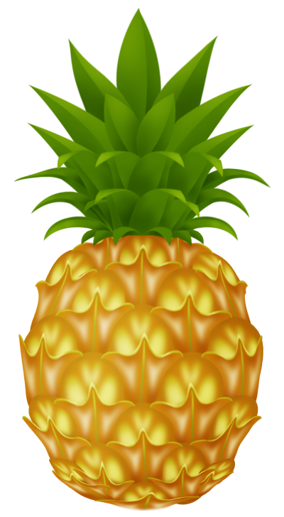 Digital Design Pineapple Png Picture Hd Background PNG Images