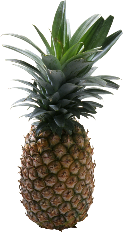 Multi Leaf Pineapple Picture Png Hd Background PNG Images