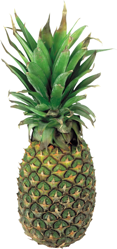 Real Summer Fruit Pineapple Transparent Png Picture PNG Images