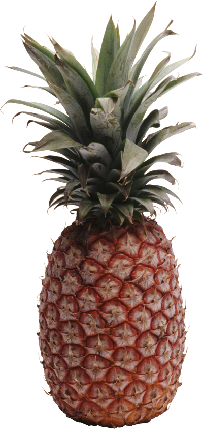 Red Plump Pineapple Images Hd Background PNG Images