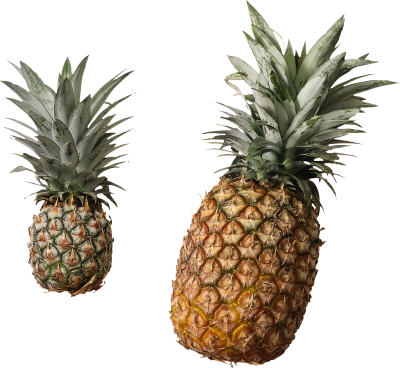 Next To Each Other Big And Small Pineapple Transparent Hd Photos PNG Images