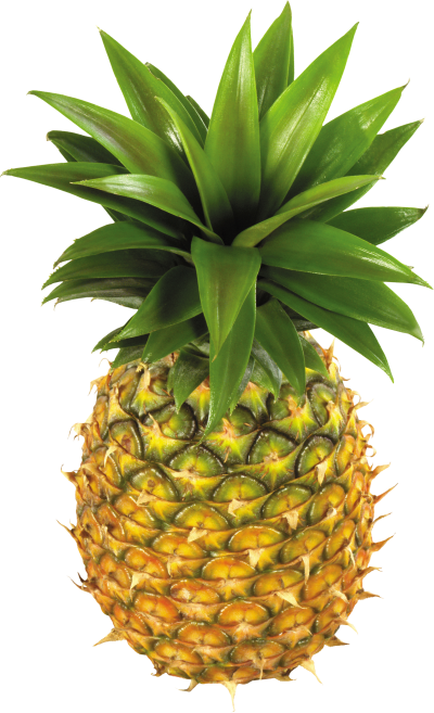 Top View Pineapple Photo Hd, Leafy PNG Images