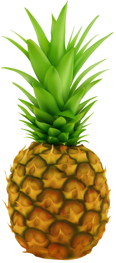Digital Quality Pineapple Transparent Free Download PNG Images