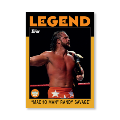 Randy Savage Free PNG 15 PNG Images