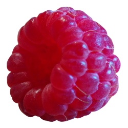 Raspberry jelly clipart png photos images
