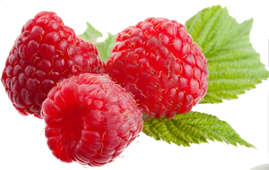 Raspberry Image PNG Images