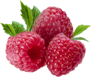 Raspberry transparent background raspberries png