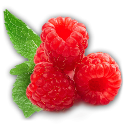 New crop raspberry clipart photo images pictures download png