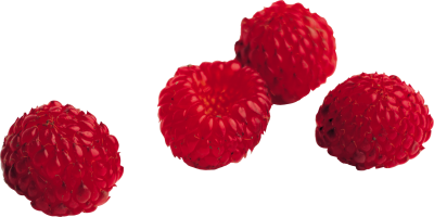 Jelly Raspberry Background PNG Images