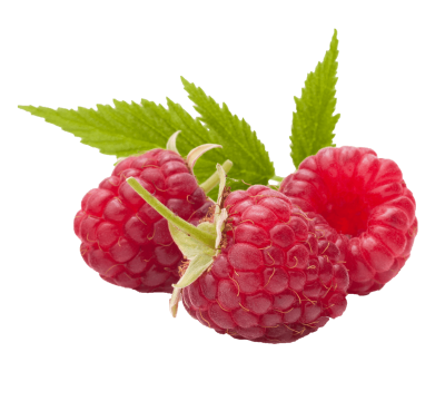Raspberry Photo Images PNG Images