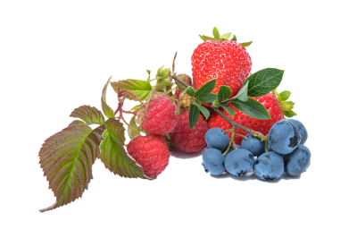 Raspberry And Grape Transparent Picture PNG Images