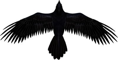 Raven Transparent Picture PNG Images