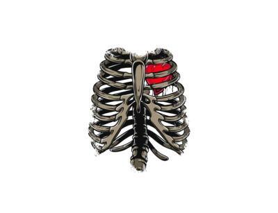 Labaratuvar, Deney, Iskelet, Adam, Göğüs, Rib Cage, Black Pictures PNG Images