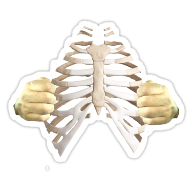 Labaratuvar, Deney, Iskelet, Adam, Göğüs, Rib Cage, Images PNG Images