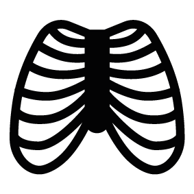 Rib Cage Icons Png PNG Images