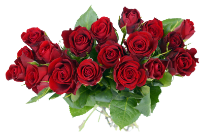 Rose Bouquet Flower Photos PNG Images