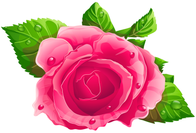 Png Rose Flowers Clipart PNG Images