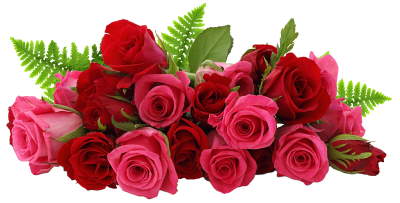 Rose Clipart Transparent 30 PNG Images