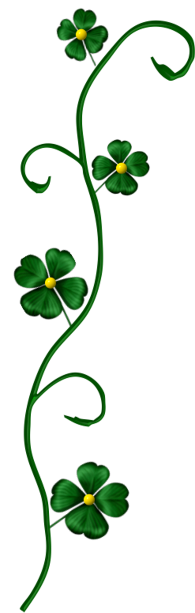 Cadre Saint Patricks Day Png PNG Images