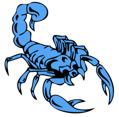 Scorpion Tattoo Silhouette Png  Scorpion Png Transparent Png   528x600455807  PngFind