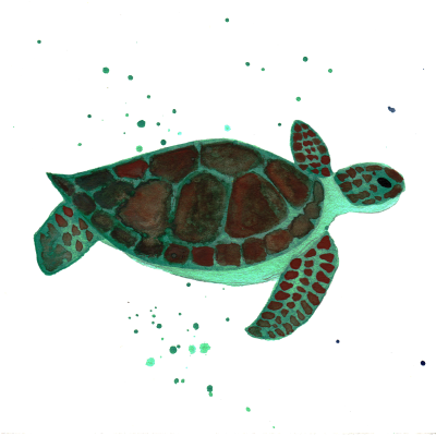 Sea Free Transparent Png PNG Images