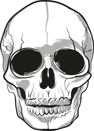 Skeleton Head HD Image PNG Images