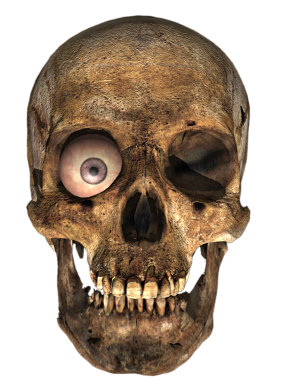 Download Skeleton Head PNG PNG Images