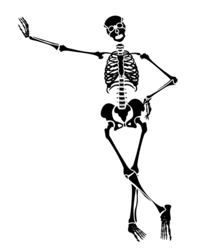 Skeleton Human PNG Images