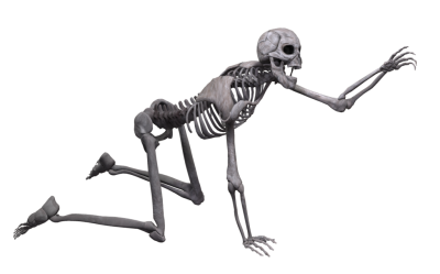 Skeleton PNG Images