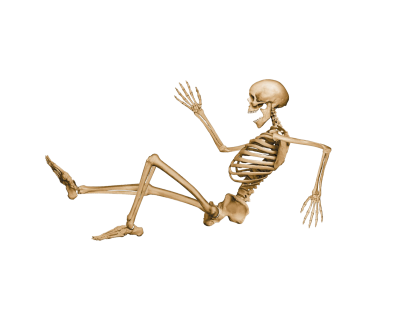 Skeleton Wonderful Picture Images PNG Images