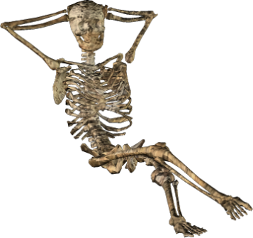 Skeleton Simple PNG Images